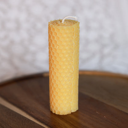 Rolled Honeycomb Thick 2 Pack