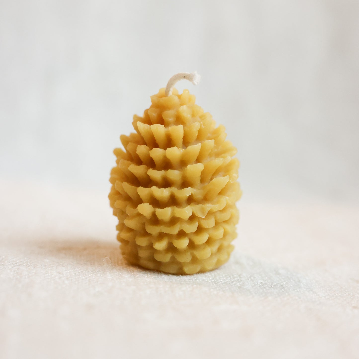 Pine Cone