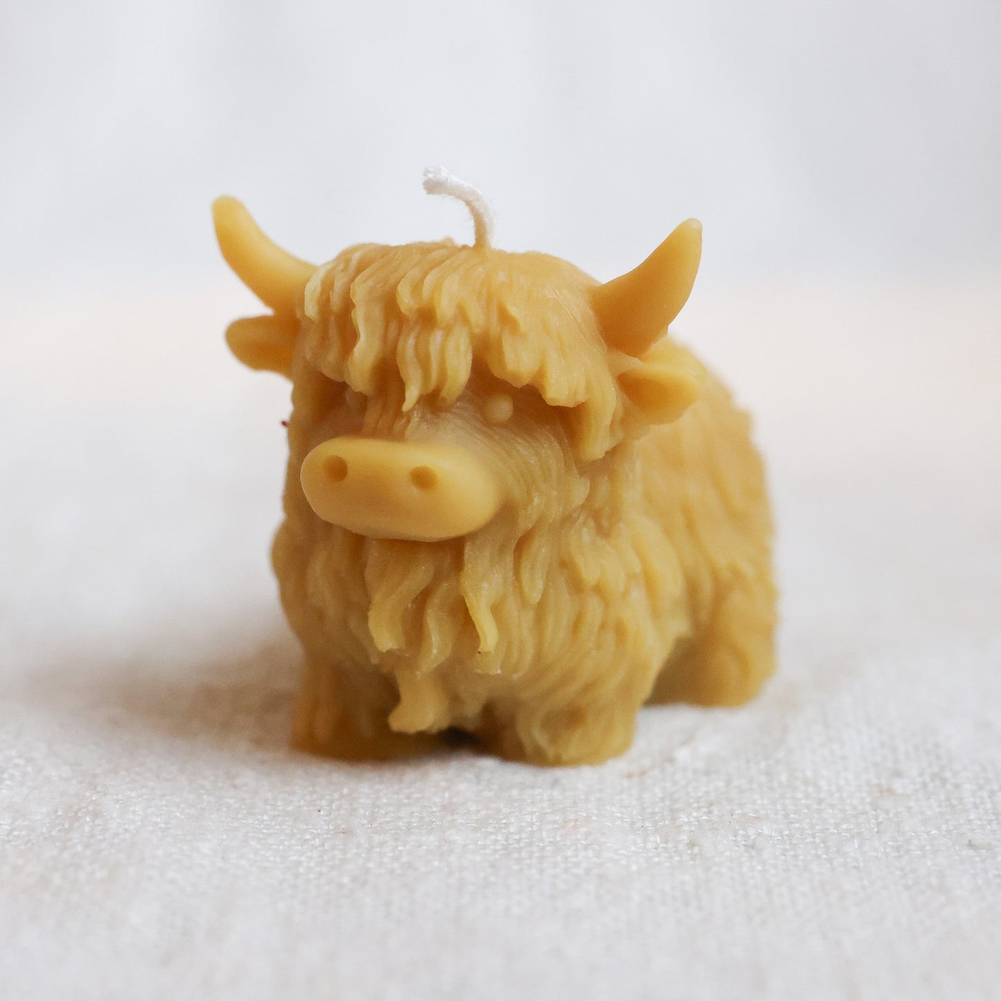 Highland Cow Candle