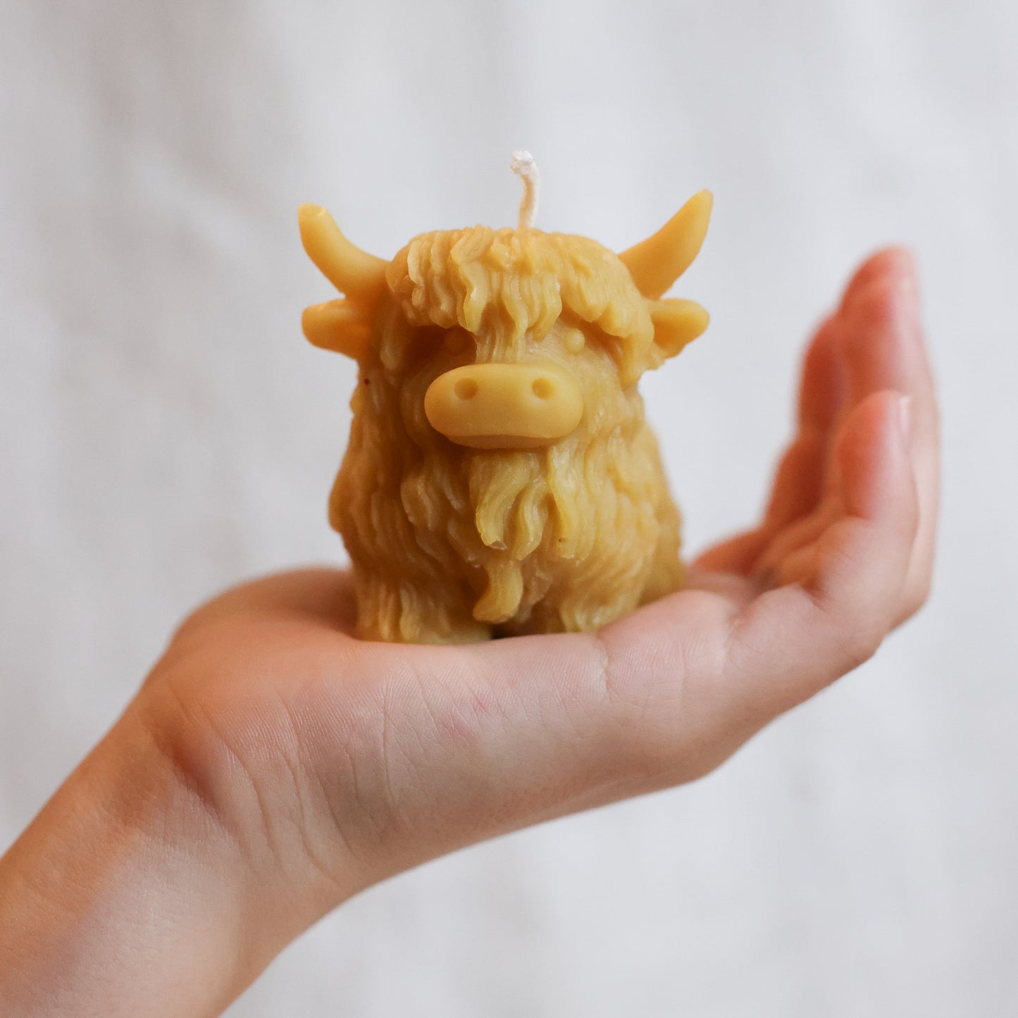 Highland Cow Candle