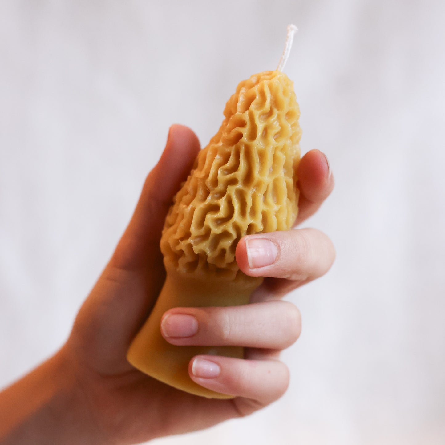 Large Morel Mushroom