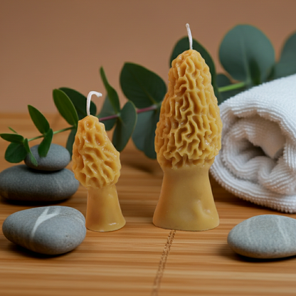 Combo Morel Mushrooms